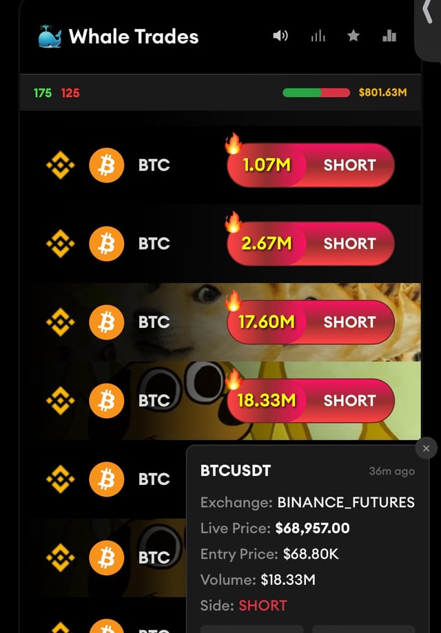 Market went up today, but for the last 30 minutes big shorts have started opening. i hope it’s not a sign of a dump