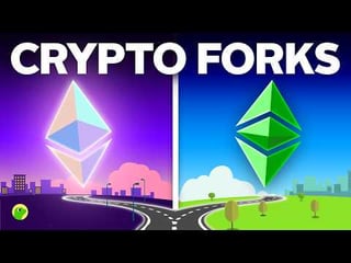 Why do ethereumclassic and bitcoincash exist?