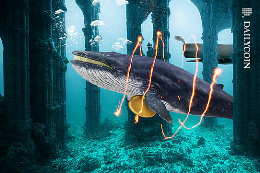 Whales stir the waters: bitcoin’s rebound looks fragile