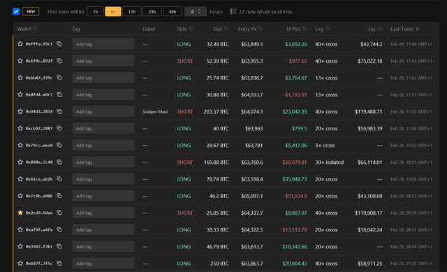 Interestingly, most whales that entered the market in the last 6 hours are long
