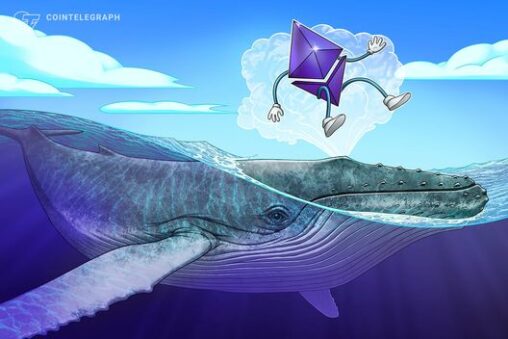 Early ethereum whale rebuilding stack with $19.5m in eth buys
