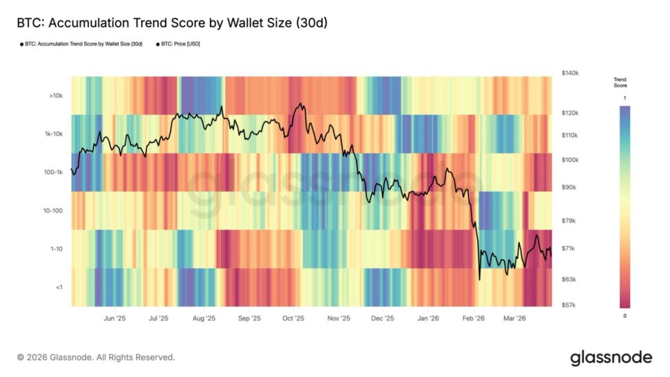 Retail investors drive widespread bitcoin selling as prices fall