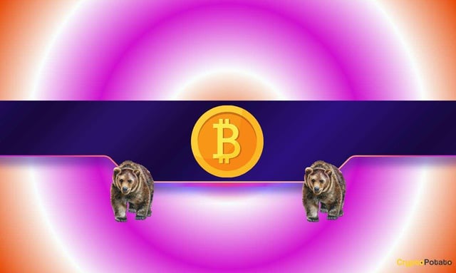 Is the $71k pump a bull trap? why analysts are calling for a $50k bitcoin crash