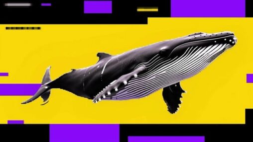 Bitcoin dip may not be over as whales sell into retail buying