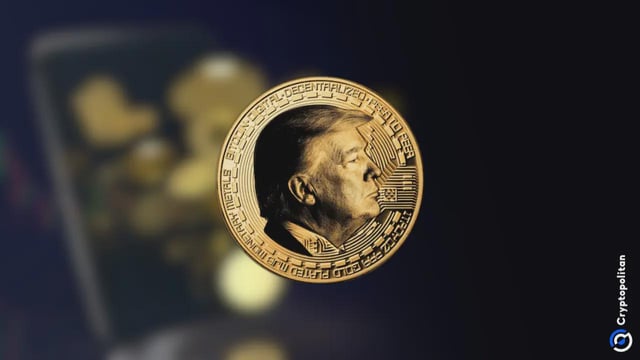 Trump tokens hold onto price gains as whale holders compete for the trump dinner leaderboard