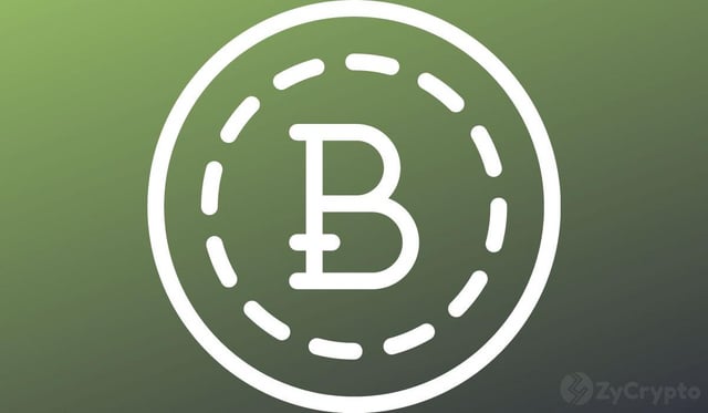 "$53k… that's where bitcoin is going" — blockchain researcher declares