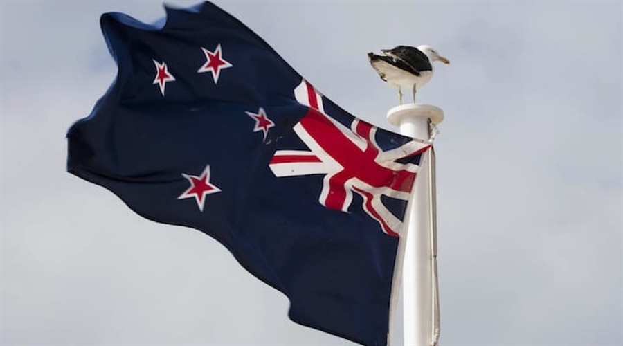 New zealand regulator rules nzdd stablecoin, citing “not a financial product”