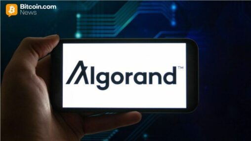 Algorand cuts workforce as sec labels algo a commodity
