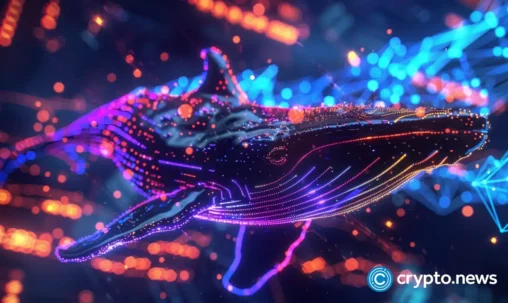 What xrp whales are doing as holders sit on $50 billion in losses