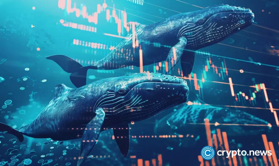 Og bitcoin whale offloads 1,000 btc as selling pressure intensifies
