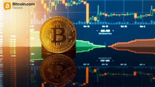 Diamond hands win: 85% of bitcoin holders stood firm through the february dip