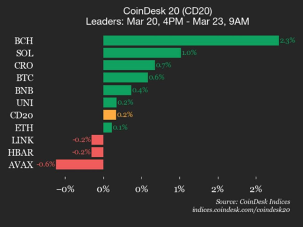 Coindesk 20 performance update: bitcoin cash (bch) gains 2.3%, leading index higher