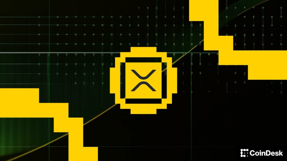 Keep an eye on xrp, plasma, doge as bitcoin drifts