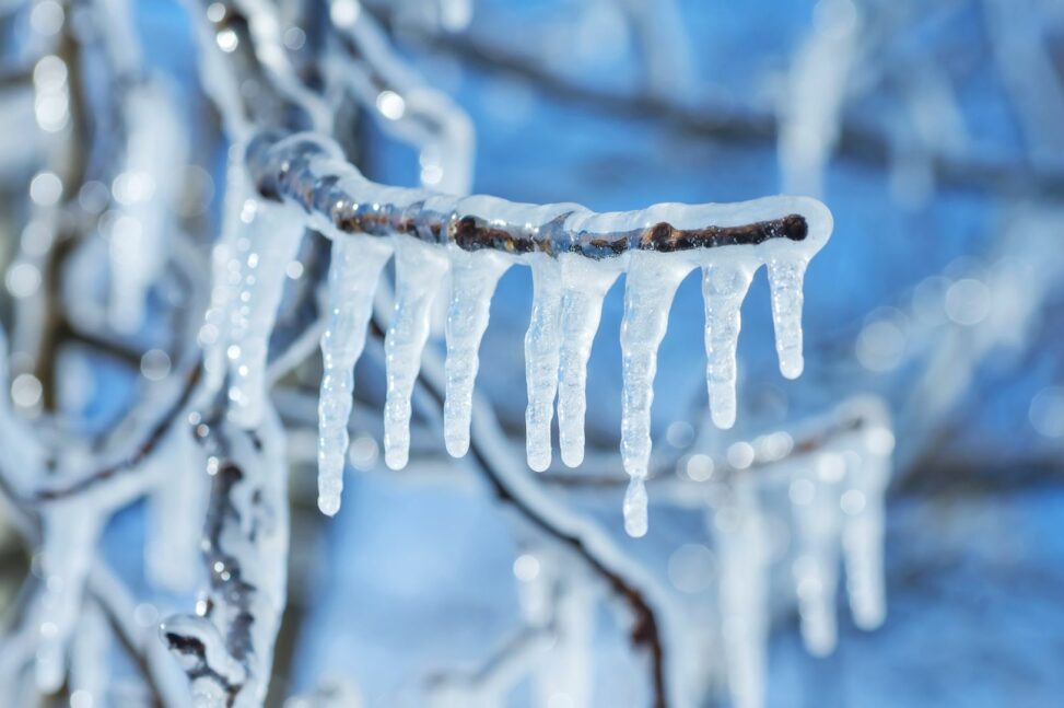 Inside the $71 million freeze on arbitrum that has the crypto world questioning what decentralization really means