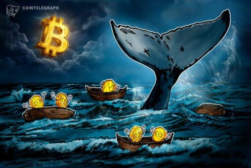 Rich bitcoin traders lost $337m daily in first quarter of 2026