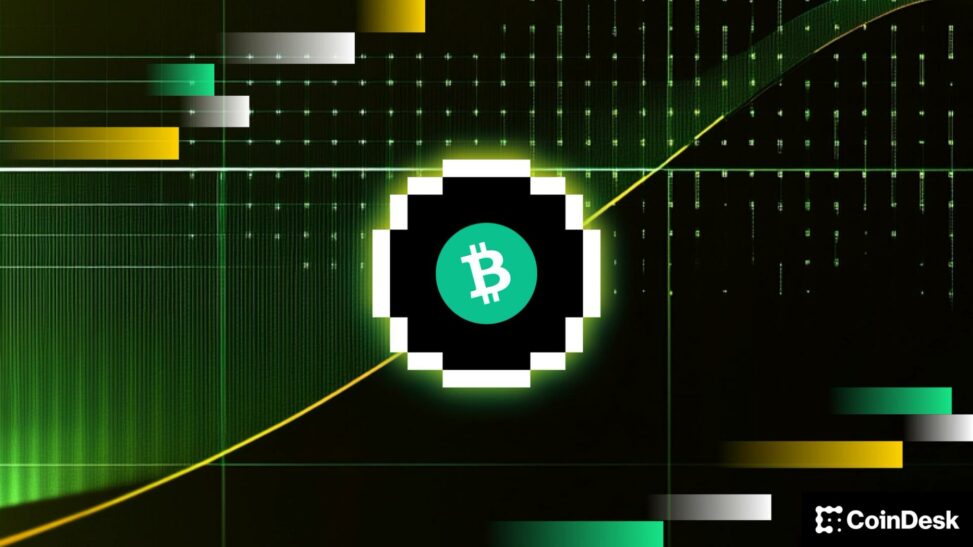 Bitcoin hits wall at $80,000, one analyst says the pullback is temporary