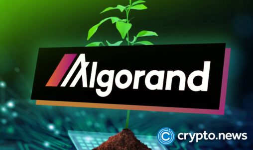 Algorand surges 50% in a month after google’s quantum ai team flags it as a blockchain security model