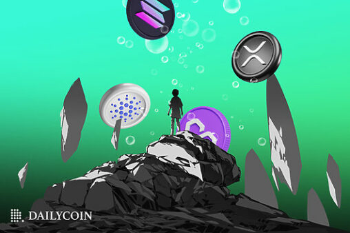 Xrp hits whatsapp? solana founder shares huge find