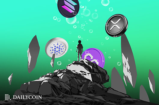 Xrp hits whatsapp? solana founder shares huge find