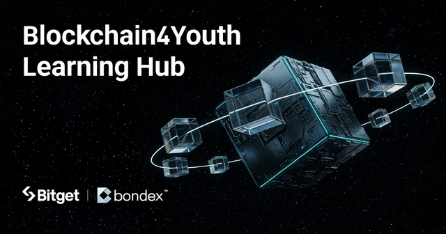 Crypto needs more structured education for the next wave of users prioritizing learning over immediate tv