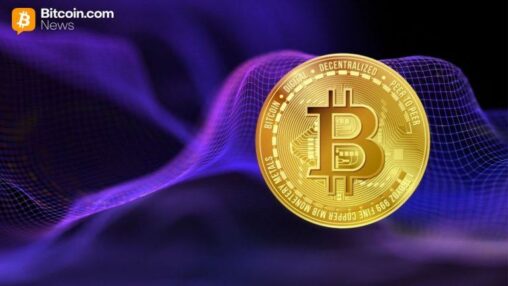Bitcoin volatility drives $12 million fees for yield basis
