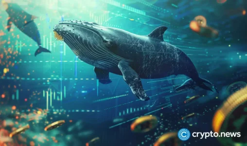 Whale transfers $20m in bitcoin to binance as price remains shaky