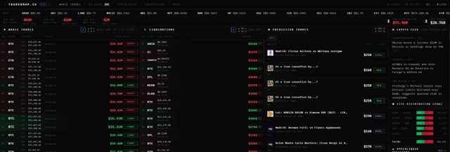Got a free whale tracking tool that shows $50m+ trades which often set market direction so i can catch moves early, not an ad just genuinely useful.
