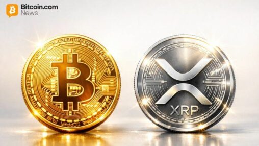 When crypto beats stablecoins: ripple’s schwartz says he’d pick xrp or btc over usd for locked funds