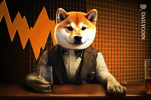 Shiba inu supply crunch deepens as big traders pile in