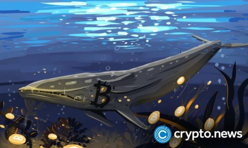 Bitcoin bottom or bull trap? whales and bears disagree