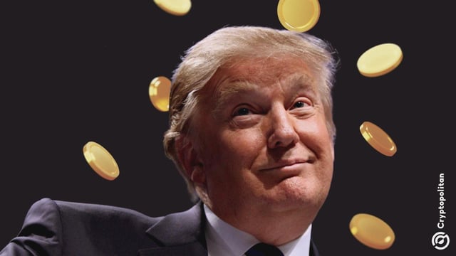 Trump family caught in crypto linked market manipulation yet again