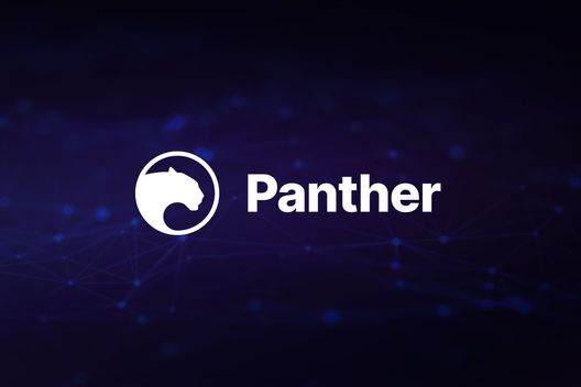 Panther protocol deploys privacy infrastructure on polygon