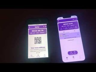 Nexa wallet to wallet transfer demonstration