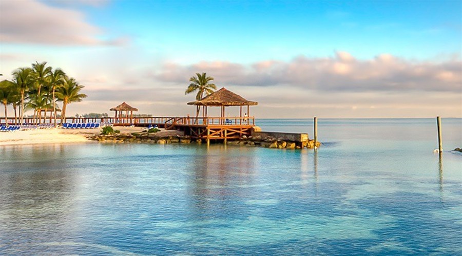 Pepperstone, capital.com, and trade nation establish rare collective voice in bahamas