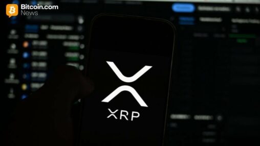 Canary leads xrp etf gains as bitcoin etfs lose $101m