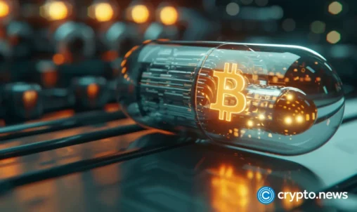 Is the bitcoin halving cycle dead? here’s what comes next