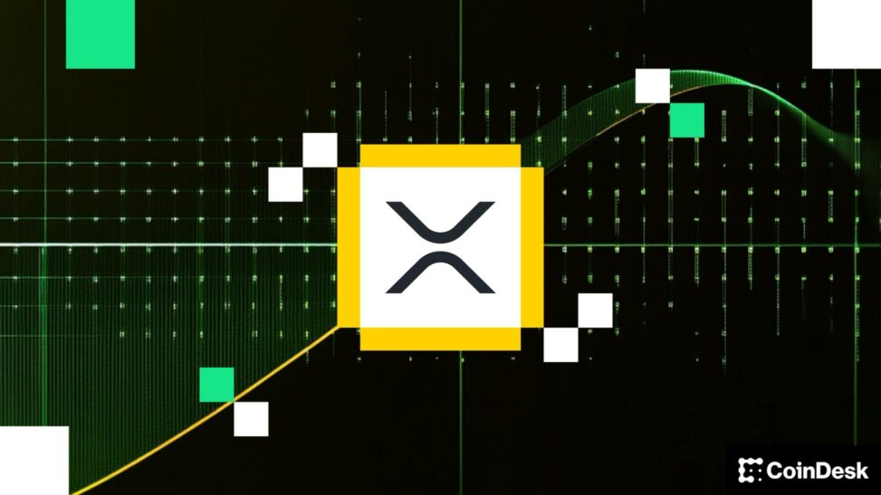 Spot xrp etfs attract biggest inflows since january