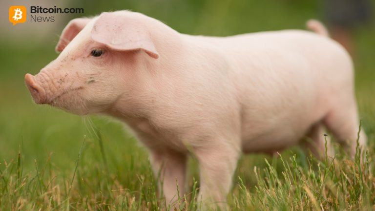 China confirms participation in ‘first of its kind’ anti pig butchering operation