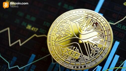 Why is xrp unique? ripple ceo explains what makes xrp stand out