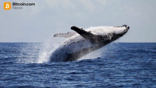 Whale dumps $100m eth short, pivots to $13.4m bitcoin bet at 20x leverage