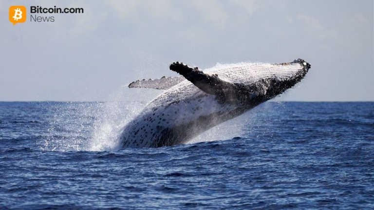 Whale dumps $100m eth short, pivots to $13.4m bitcoin bet at 20x leverage