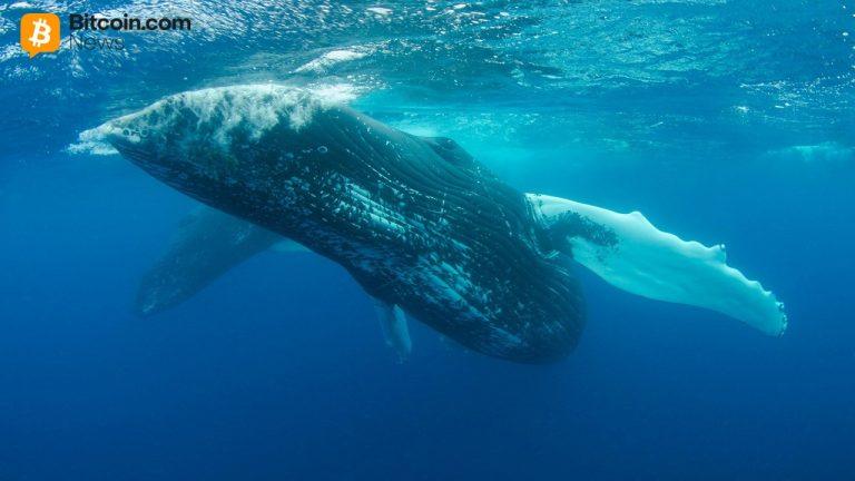 Whale who spent $62m on uniswap and compound tokens is now selling at a $39.7m loss