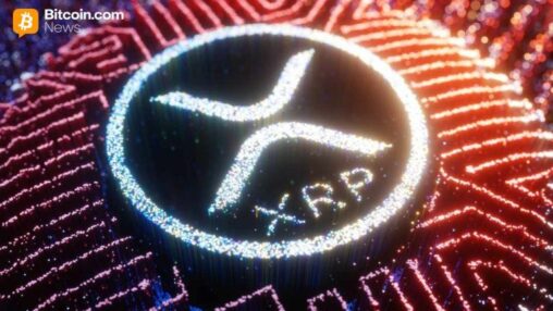 Xrp traders hit 47% losses as santiment flags historic dip buy setup