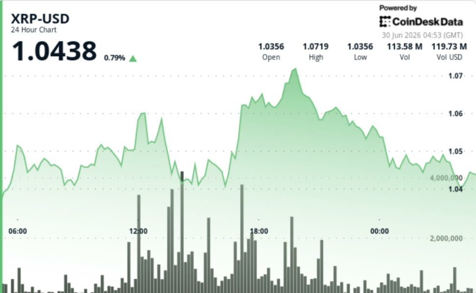 Xrp holds $1 support as network activity rises and leverage clears out