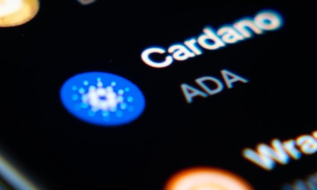 Cardano summit canceled after community votes against it