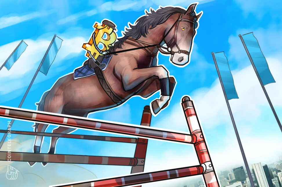 Bitcoin market cap rebound to take '5 10 years' after dropping 10 places since mid 2025