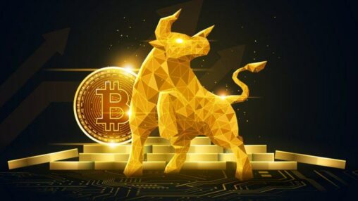 Coinbase ceo ‘as bullish as ever’ on bitcoin, expects much higher prices by 2030