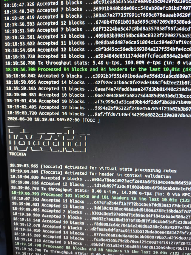 Toccata hardfork successfully activated on kaspa mainnet now programmable at the base layer!