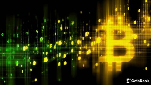 Dog mode explains bitcoin's next governance fight