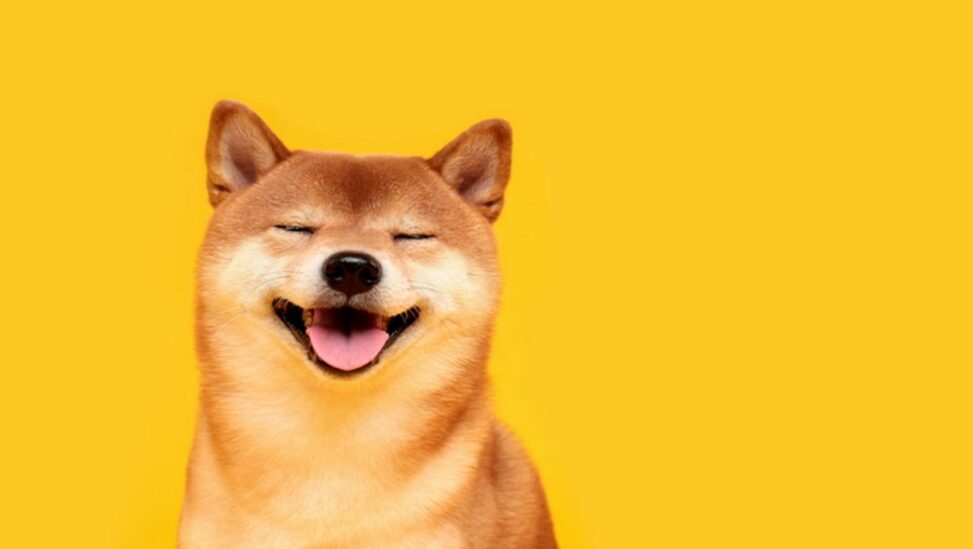 Shiba inu surges 36% as south korean traders fuel mystery rally